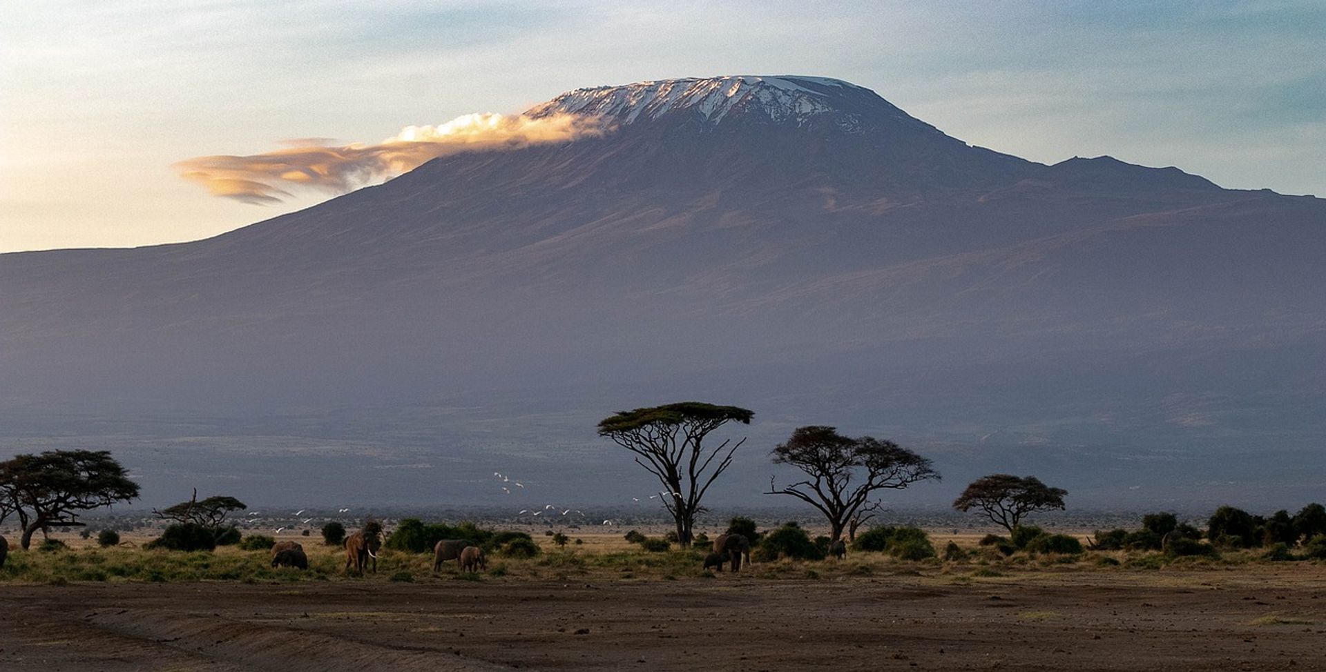 Top van de berg Kilimanjaro staat in brand Vroege Vogels